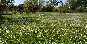 El Molino del Serio 0010