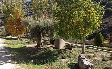 Molino del Machero en Puebla de Don Fadrique (Granada) - Foto 22
