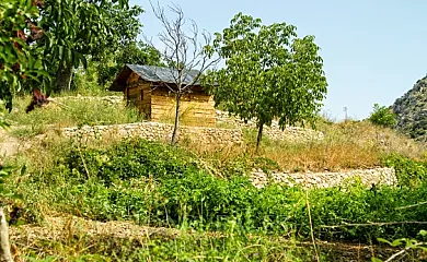 Molino del Machero en Puebla de Don Fadrique (Granada) - Foto 23