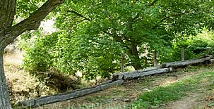 Molino del Machero 0024