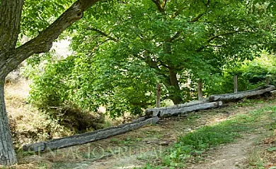 Molino del Machero en Puebla de Don Fadrique (Granada) - Foto 24