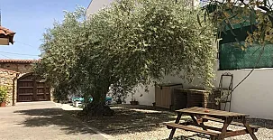 Casa Rural El Olivar de Valdefuentes 0011