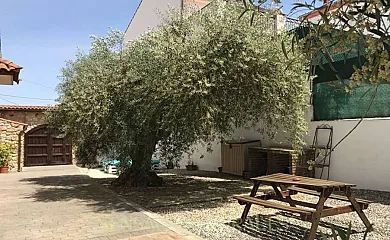 Casa Rural El Olivar de Valdefuentes en Valdefuentes (Cáceres) - Foto 11