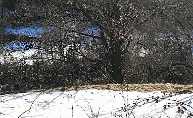 Casa Rural Agustín en Yésero (Huesca) - Foto 9