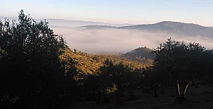 Casa Rural Los Pinches 005