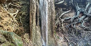 Casa Rural Los Pinches 004