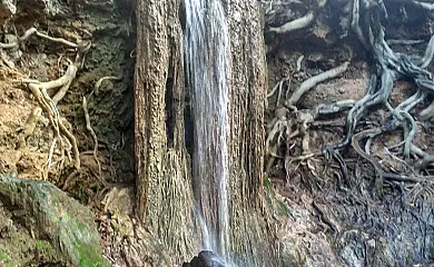 Casa Rural Los Pinches en Cazalla de la Sierra (Sevilla) - Foto 4