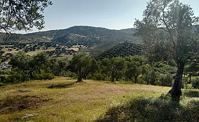Casa Rural Los Pinches en Cazalla de la Sierra (Sevilla) - Foto 6