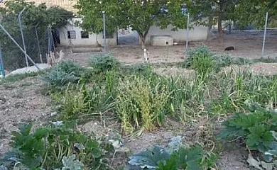 Casa Rural Fuenmayor en Torres (Jaén) - Foto 6