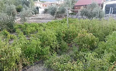 Casa Rural Fuenmayor en Torres (Jaén) - Foto 7