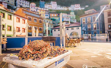 Apartamentos Cudillero en Cudillero (Asturias) - Foto 8