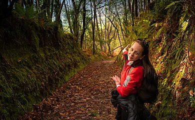 Apartamentos Cudillero en Cudillero (Asturias) - Foto 10