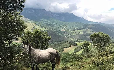 Casa rural La Ribera en Potes (Cantabria) - Foto 15