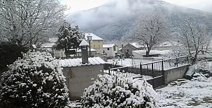 Borda os´pericos 002