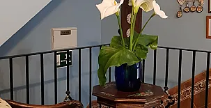 Casa Callejón de la Mora 009