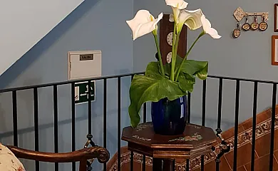 Casa Callejón de la Mora en Castilblanco de los Arroyos (Sevilla) - Foto 9