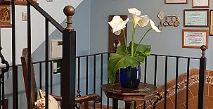 Casa Callejón de la Mora 0018