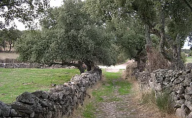 Casa Rural Barranquillo en Montánchez (Cáceres) - Foto 15