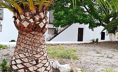 Cortijo El Patriarcal en Moriles (Córdoba) - Foto 6