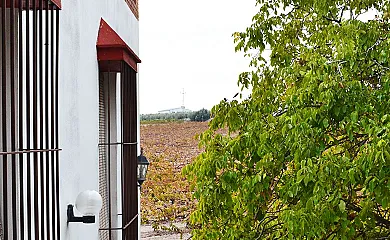 Cortijo El Patriarcal en Moriles (Córdoba) - Foto 7