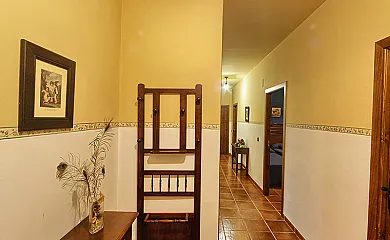 Cortijo El Patriarcal en Moriles (Córdoba) - Foto 14