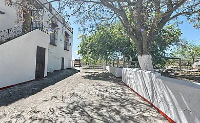 Cortijo El Patriarcal en Moriles (Córdoba) - Foto 23