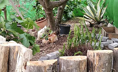 La Bodega en Cehegin (Murcia) - Foto 8