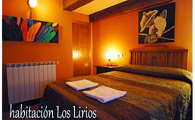 Casa Los Lirios en Borau (Huesca) - Foto 3