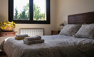 Cuatro pinos en Torremocha de Jarama (Madrid) - Foto 20