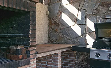 Cuatro pinos en Torremocha de Jarama (Madrid) - Foto 8