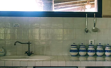 Cuatro pinos en Torremocha de Jarama (Madrid) - Foto 13