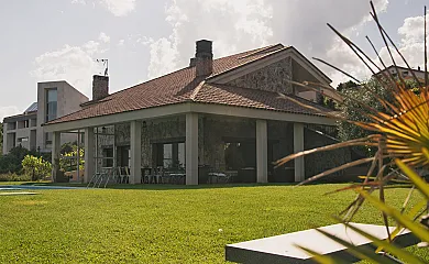 Cuatro pinos en Torremocha de Jarama (Madrid) - Foto 5