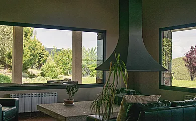 Cuatro pinos en Torremocha de Jarama (Madrid) - Foto 11