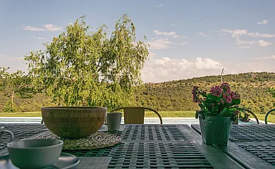 Cuatro pinos en Torremocha de Jarama (Madrid) - Foto 7