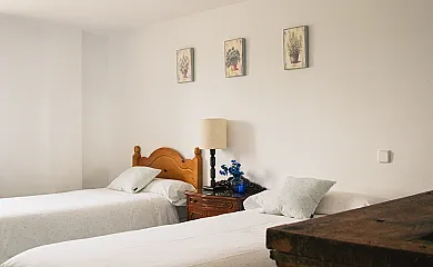 Cuatro pinos en Torremocha de Jarama (Madrid) - Foto 24