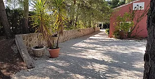 Casa Rural Chacón Moratalla 0029