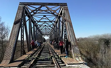 Casa Rural Flor en Vadocondes (Burgos) - Foto 17