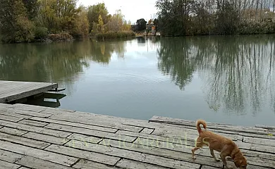 Casa Rural Flor en Vadocondes (Burgos) - Foto 19