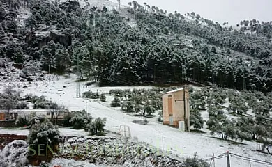 Alojamiento Rural Rocío en Burunchel (Jaén) - Foto 12
