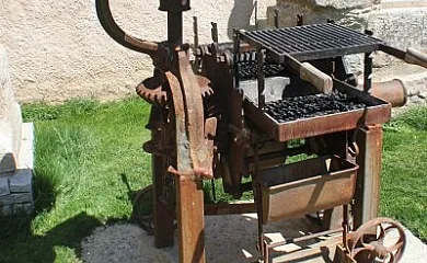 La Centenaria en Alaraz (Salamanca) - Foto 9