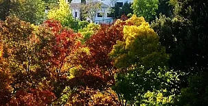 Cortijo de La Losa 003