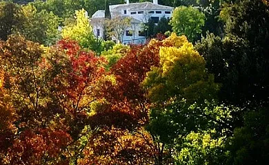 Cortijo de La Losa en Huéscar (Granada) - Foto 3