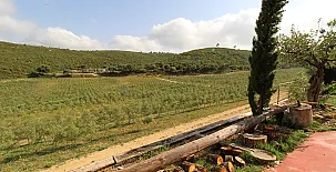 Finca Heredad La Boquilla 009