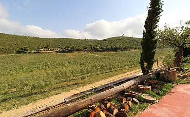 Finca Heredad La Boquilla en Enguera (Valencia) - Foto 9