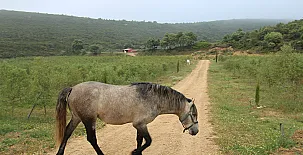Finca Heredad La Boquilla 0018