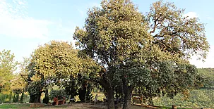 Finca Heredad La Boquilla 0010