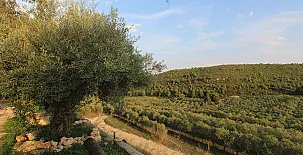 Finca Heredad La Boquilla 0016