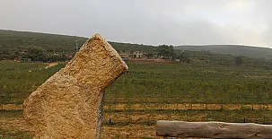 Finca Heredad La Boquilla 0019