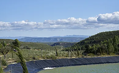 Finca Heredad La Boquilla en Enguera (Valencia) - Foto 20