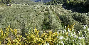 Finca Heredad La Boquilla 0021